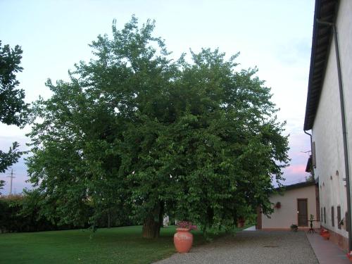Agriturismo Campass in Castelvetro Piacentino