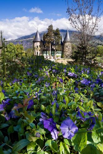 Chateau De Picomtal - image 7