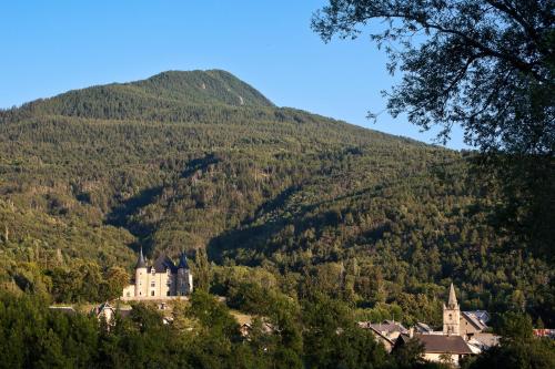 Chateau De Picomtal - image 3
