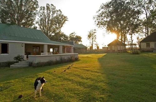 Dalmore Guest Farm Dalmore Guest Farm