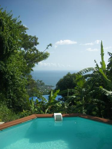 mango tree lodge in Bouillante