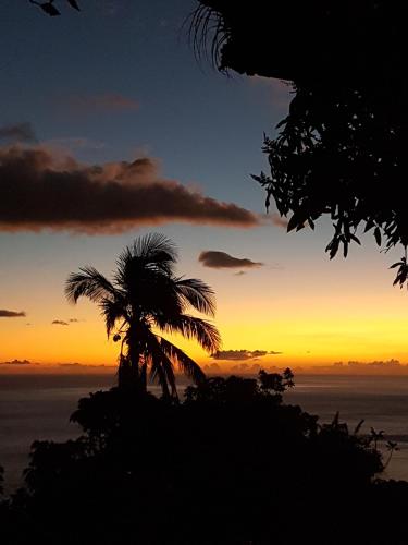 mango tree lodge in Bouillante