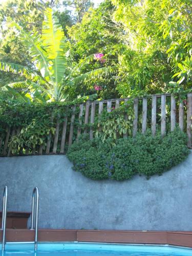 Vue extérieure, mango tree lodge in Bouillante