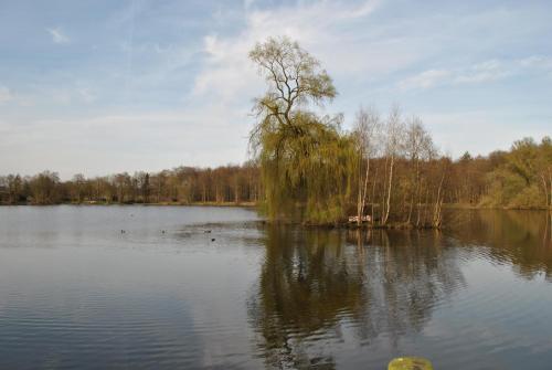 Restorāns, Am Mariental 11 in Hankensbüttel