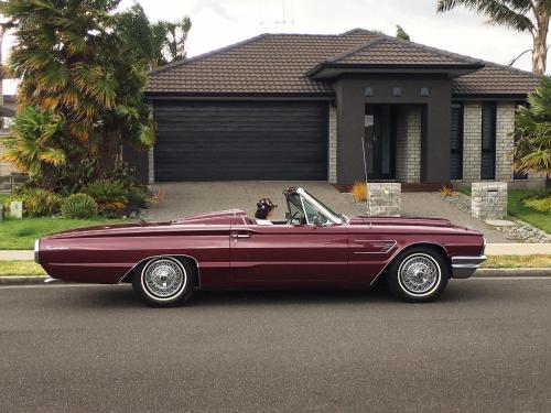 Papamoa Retreat - Tauranga