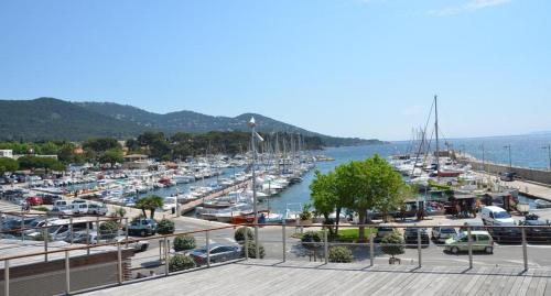 Studio 4 personnes avec piscine, tennis - Location saisonnière - Hyères