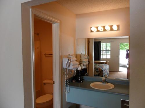 Regency Inn Eureka Springs - 화장실