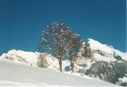 Ferienhaus Gubel