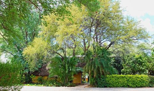 Viesnīcas āriene, Divundu Guest House in Divundu