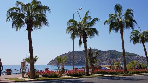  Pamfilia Apartments in Mahmutlar