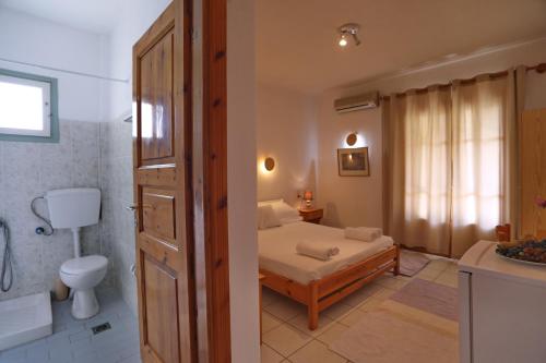 Pansion Prodromina 5