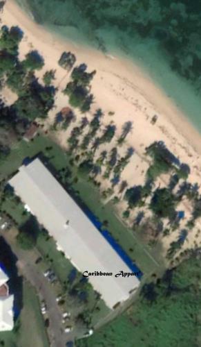 Caribbean Appart' 4