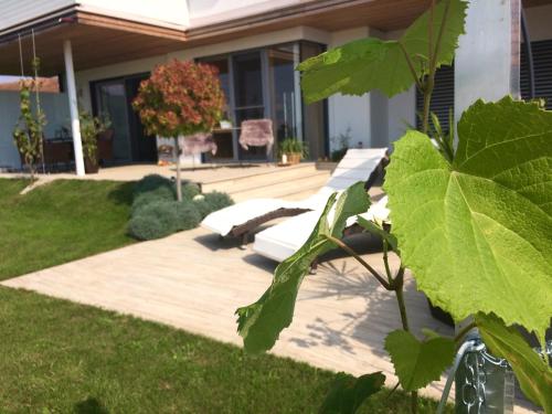  Nikolaier Weinblick - Ferienwohnung Muskateller in Sankt Nikolai