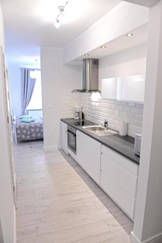 廚房, Apartamenty Zamkowa in 耶萊尼亞古拉市中心