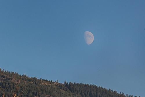 Maramures Landscape - image 11