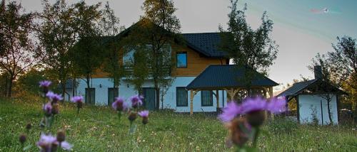 Maramures Landscape - image 4