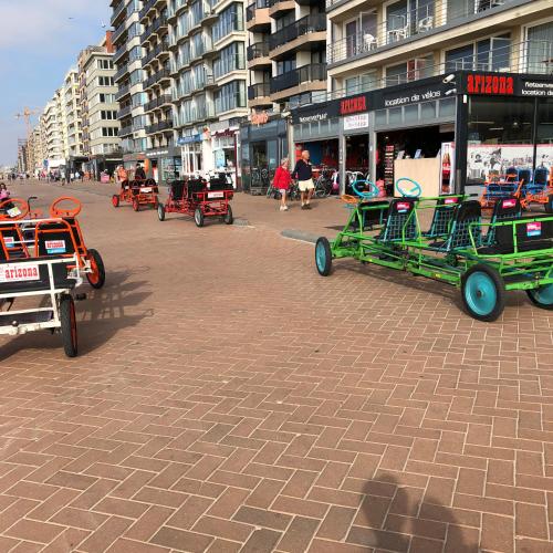  Appartement Dumontlaan in De Panne