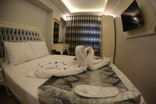 Sirkeci Ersu Hotel & SPA, Istanbul (fotografie 10)