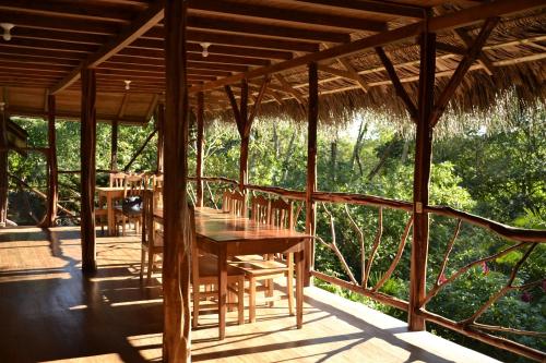 Hostal Pakay in Tena