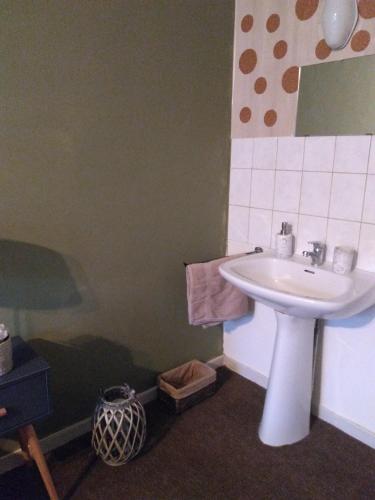  Acomodações Simples com Qualidade! in Ekeren