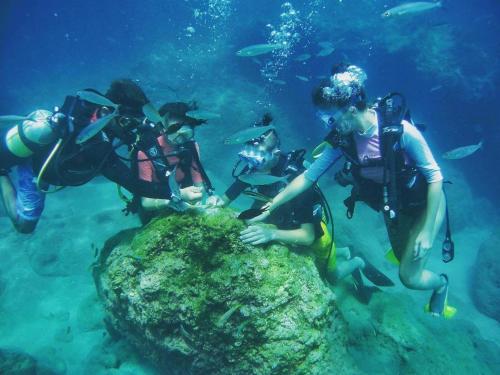  Divers Delight Fethiye in Fethiye