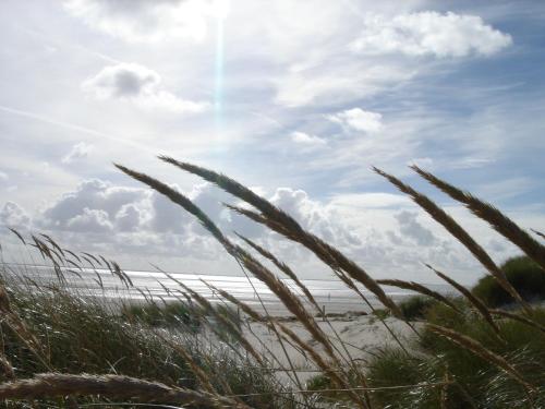 Logierhus Langeoog - image 3