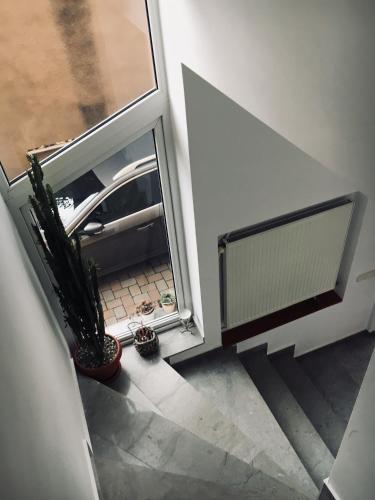 Bruno Apartment 4