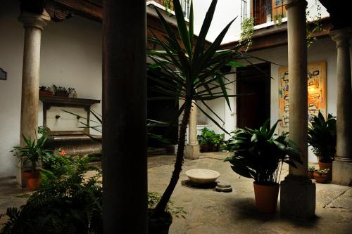 Mirador del Jazmín Mirador del Jazmín