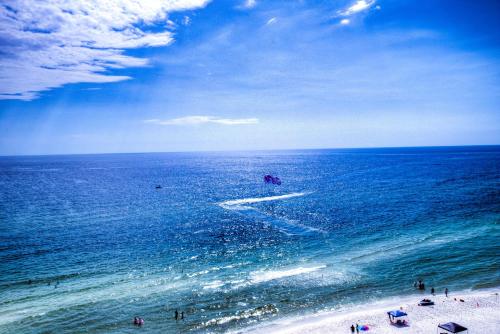 Tidewater 906 By ZIA