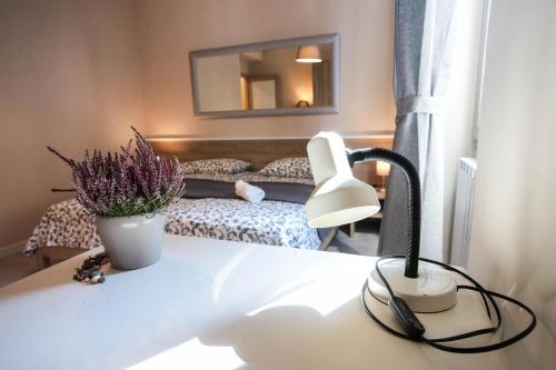 Ervin House, Florence (photo 4)