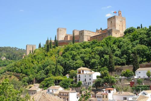 Mirador del Jazmín Mirador del Jazmín