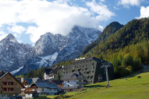 Hotel Alpina - image 2