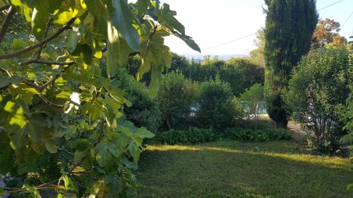 Rêve de Provence Villa avec jardin et piscine