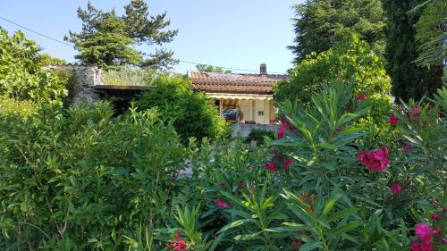 Rêve de Provence Villa avec jardin et piscine - Accommodation - Forcalquier