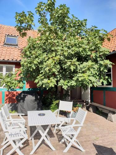 Pension Holmegaard - image 4
