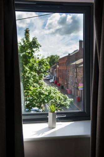 The Old Wool House Apartments - image 3