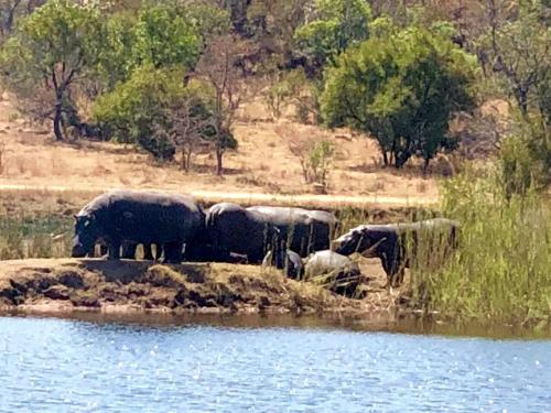 Kuwisa Lodge