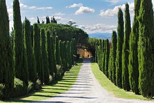 Al Gelso Bianco Barberino Di Val Delsa 