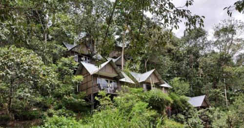 Moselberg Riverside Cottages in Kunchithanny