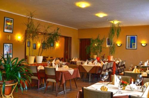 Hotel Restaurant Zur Hexe - image 10