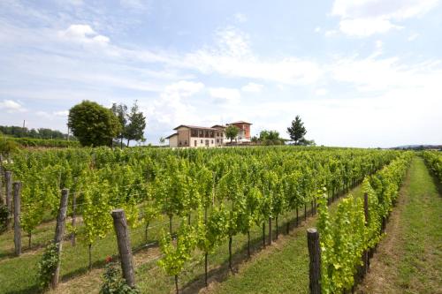 Alloggio Agrituristico CORTE SAN BIAGIO 4