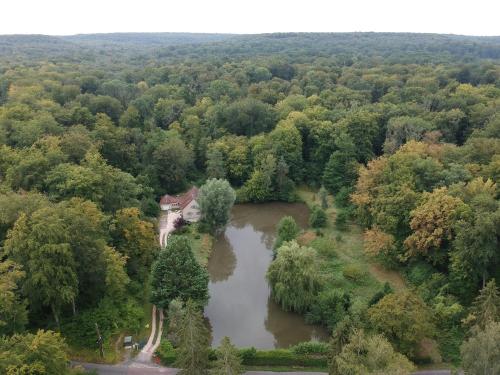 Nid dans la forêt gîte à louer Saint-Jean-aux-Bois