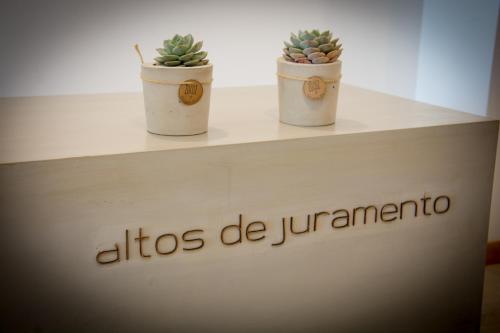 Studio Altos de Juramento