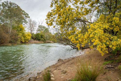 Eildon Riverside Holiday Park