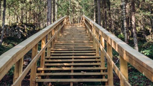 Цікаві місця поруч, Ukko in Нільсія