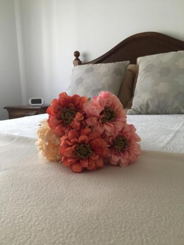  Bia’s House, Ferienwohnung in Arouca