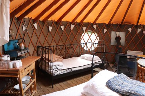 Yurtcamp Devon