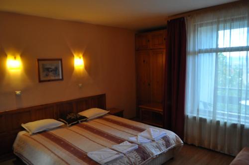 Family Hotel Bansko Sofia - image 6