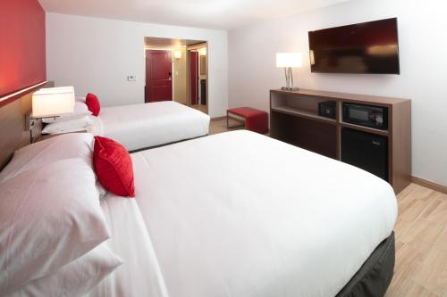 Standard Queen Room with Two Queen Beds image 3
