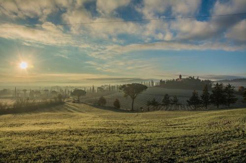 Agriturismo La Ripolina - Accommodation - Buonconvento